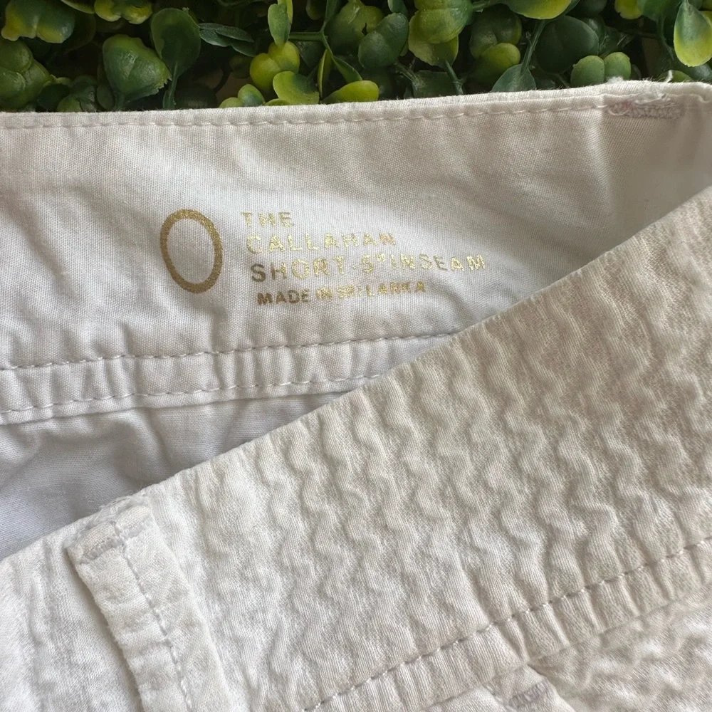SOLD | Lilly Pulitzer SIZE 0 Callahan Shorts in White - Picture 4 of 5